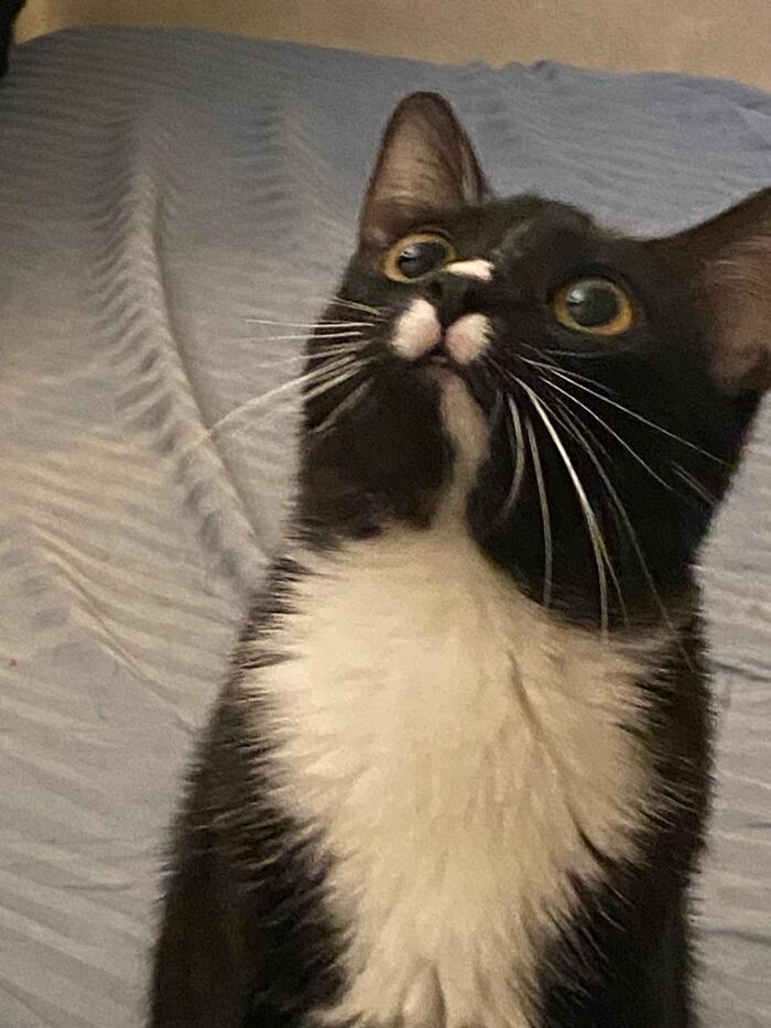 Очень милая