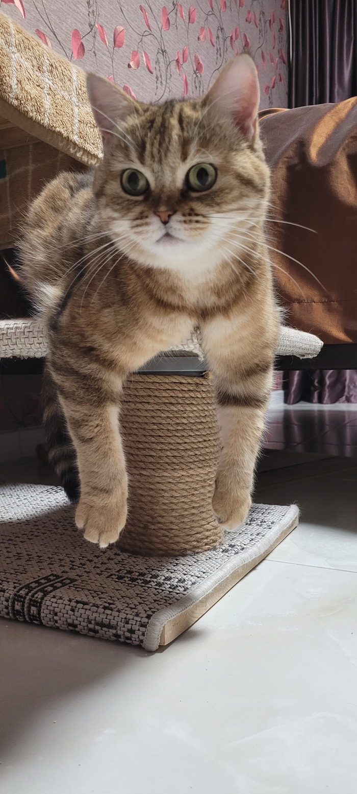   :    , , ,  , ,  ,   , 
