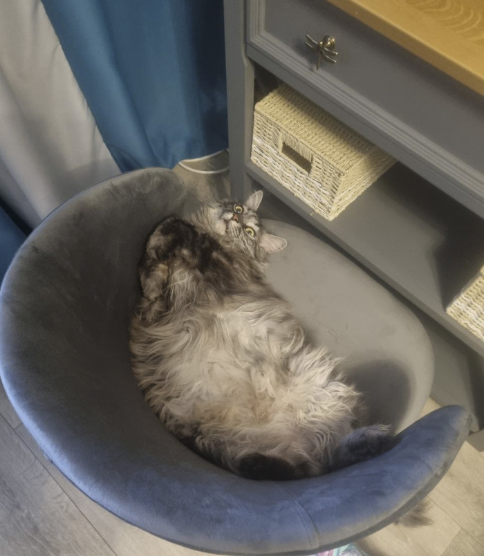 Заполняем доступное пространство