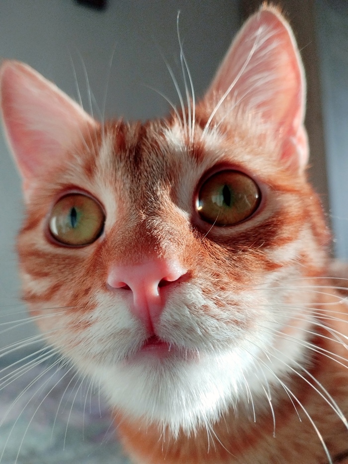 ����� �� ���� ��������: ������ ��� ������