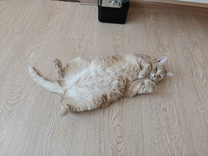    :    , , ,  , ,  ,   