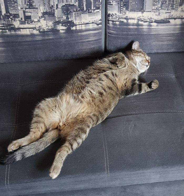 ��� �������, �� �� ����, �� �� ����������