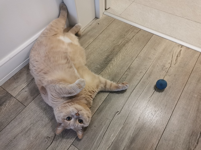 Вот этот самый мячик)