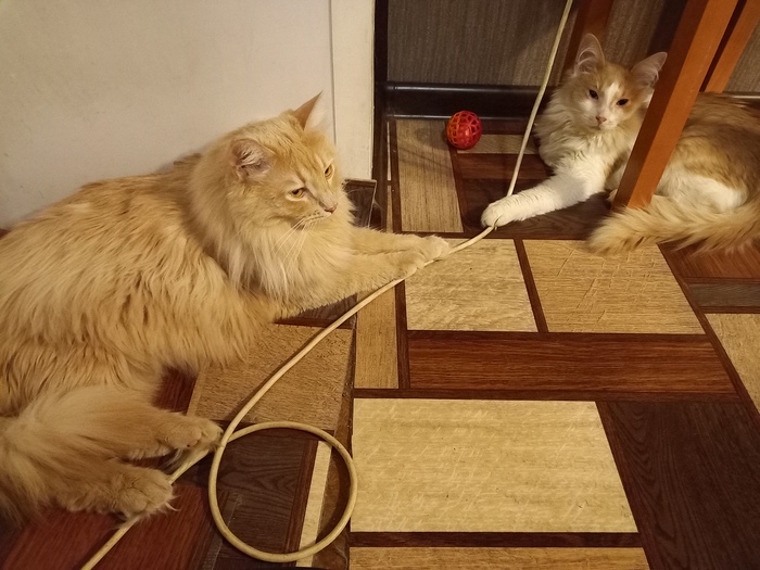 Почти ренессанс