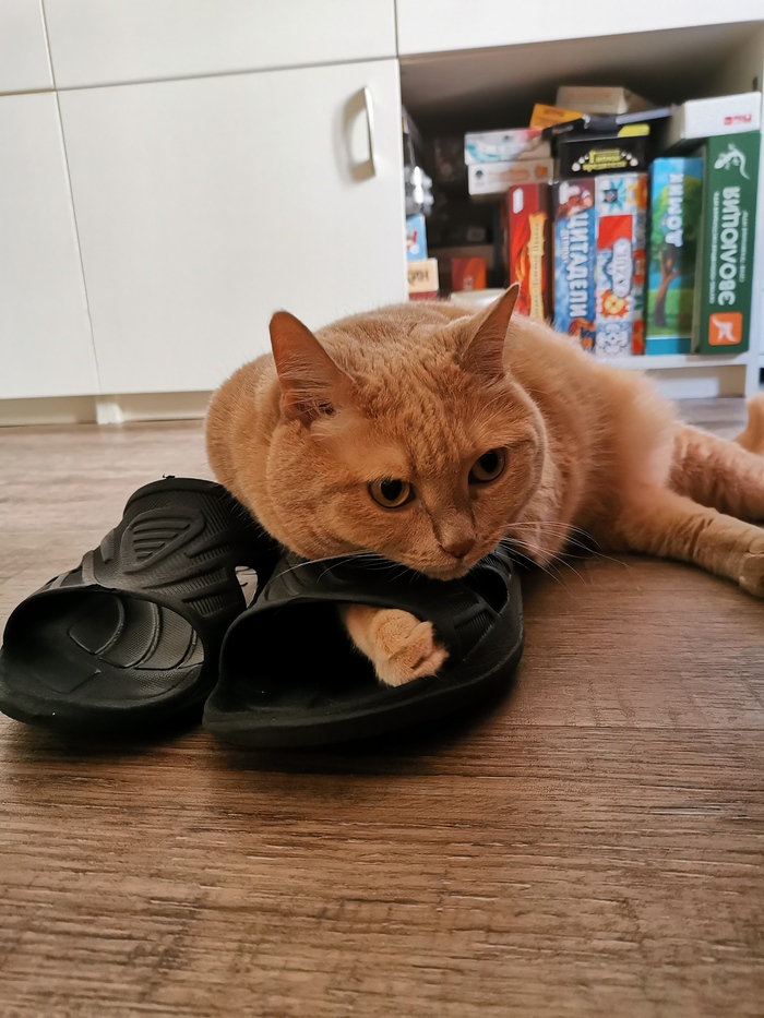 Считает, что мы у неё живём и регулярно берём её вещи