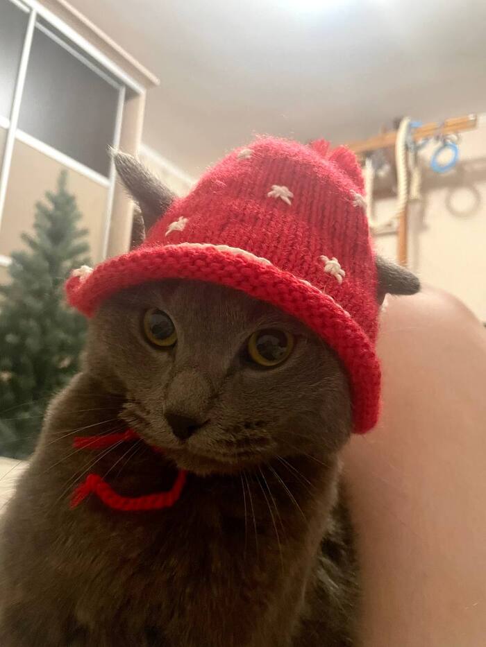 Скоро будут салатики