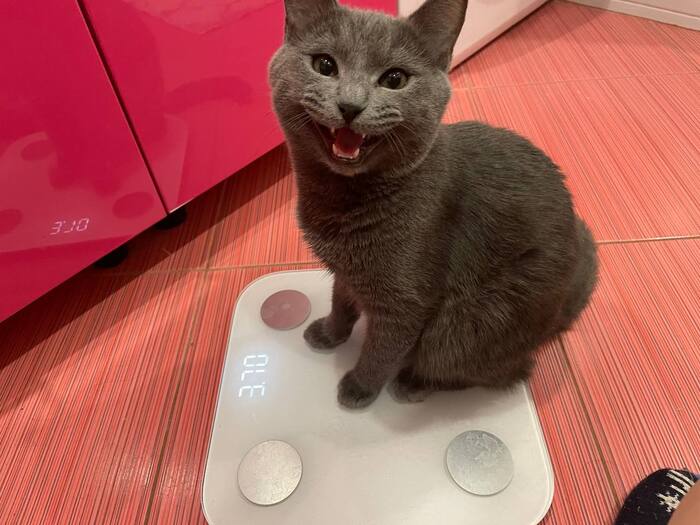 После новогодних салатов