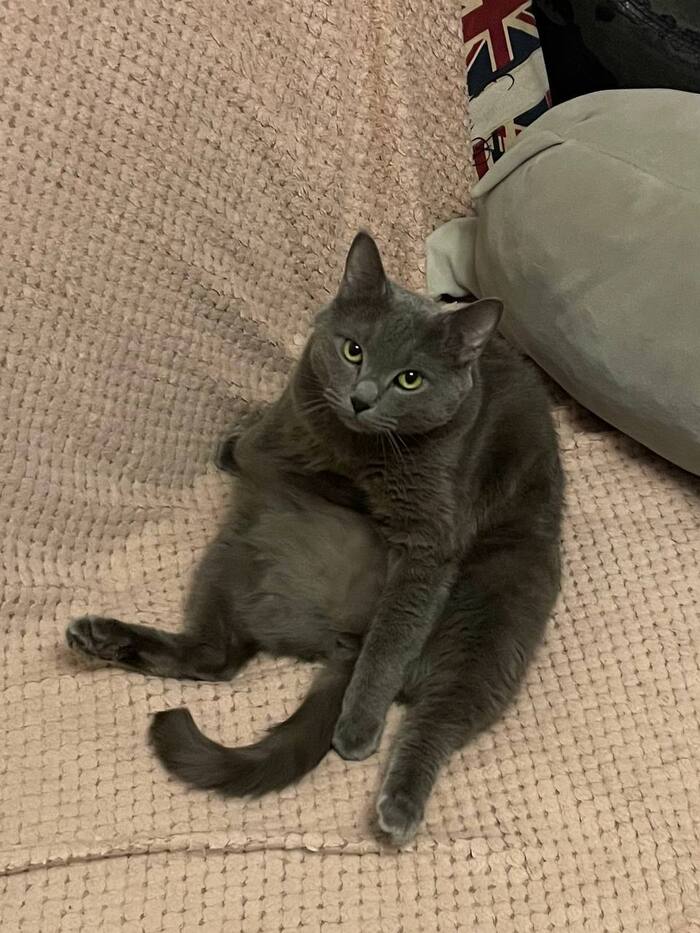 Съел Деда Мороза