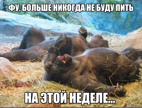  , , , , Telegram ()