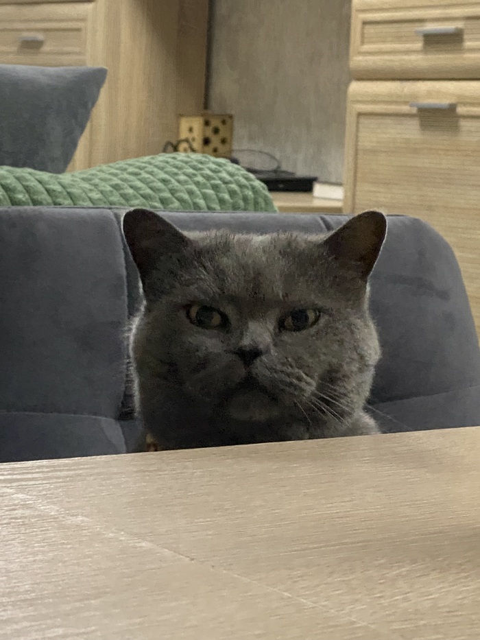 Вас заметили