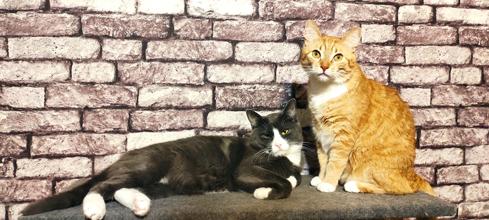 ����� �� ���� ��������: ������ ��� ������