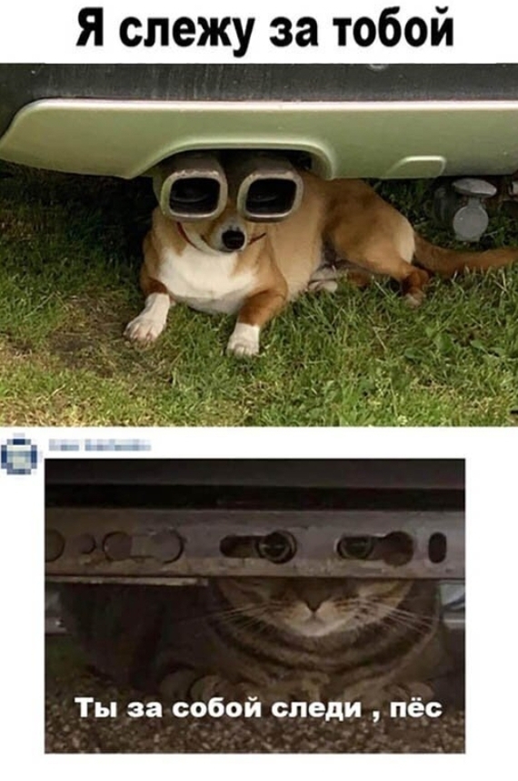  .  , , , -, , , 