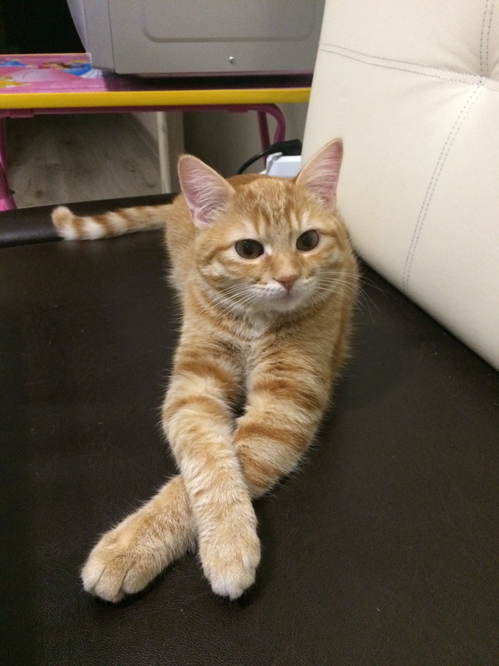    :    , , ,  , ,  ,   , 