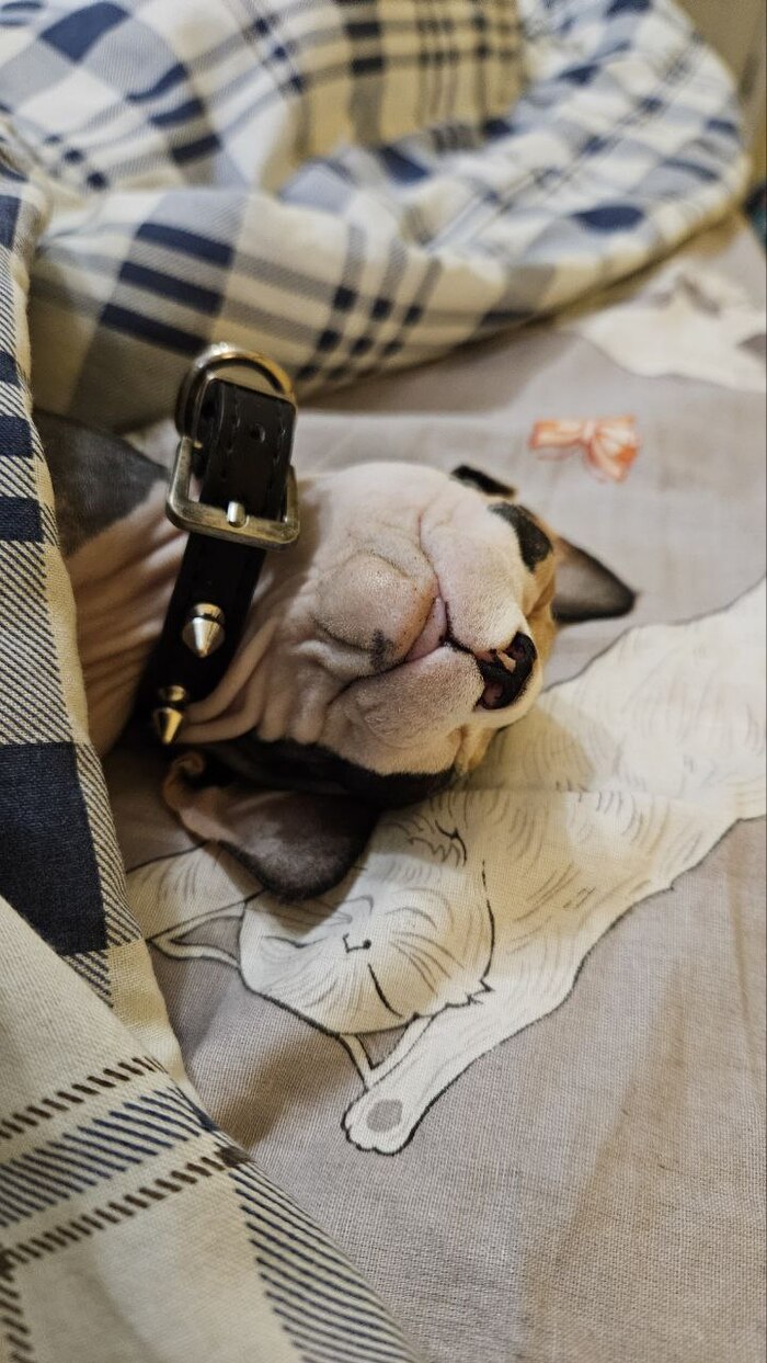 �����, ��������� ������