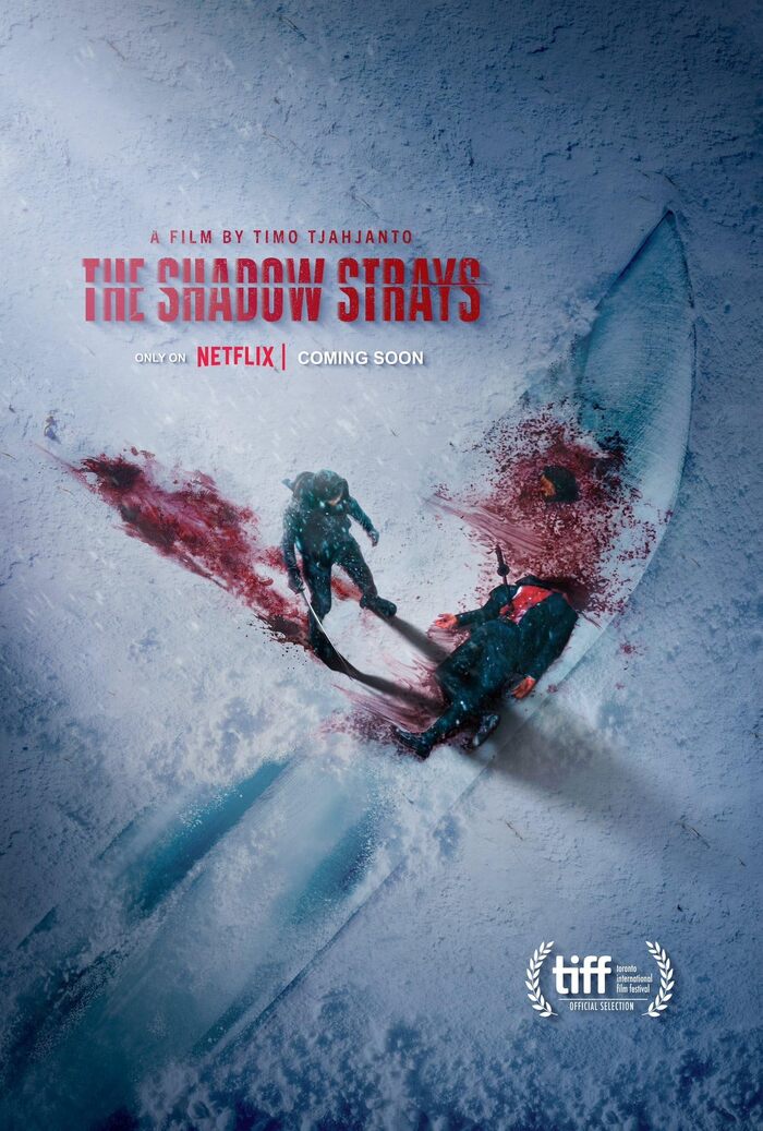 ���������� ���� / The Shadow Strays / 2024