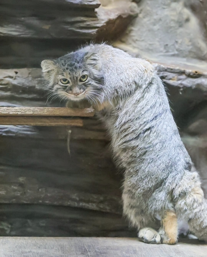   ,  ,  ,  ,  , 