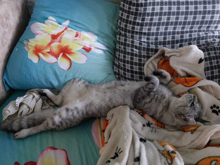    :    , , ,  , ,  ,   