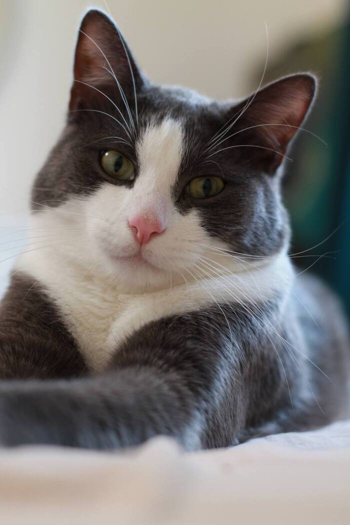 гордимся усищами