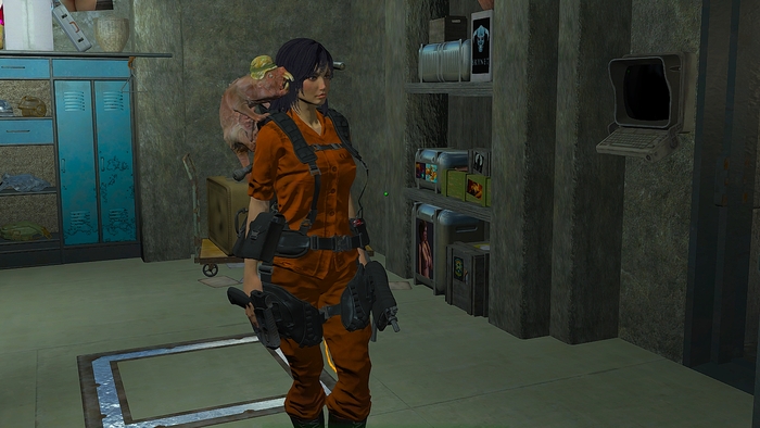 Fallout 4 , Fallout, 
