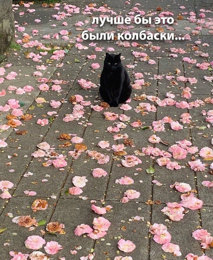  ... ,   , 