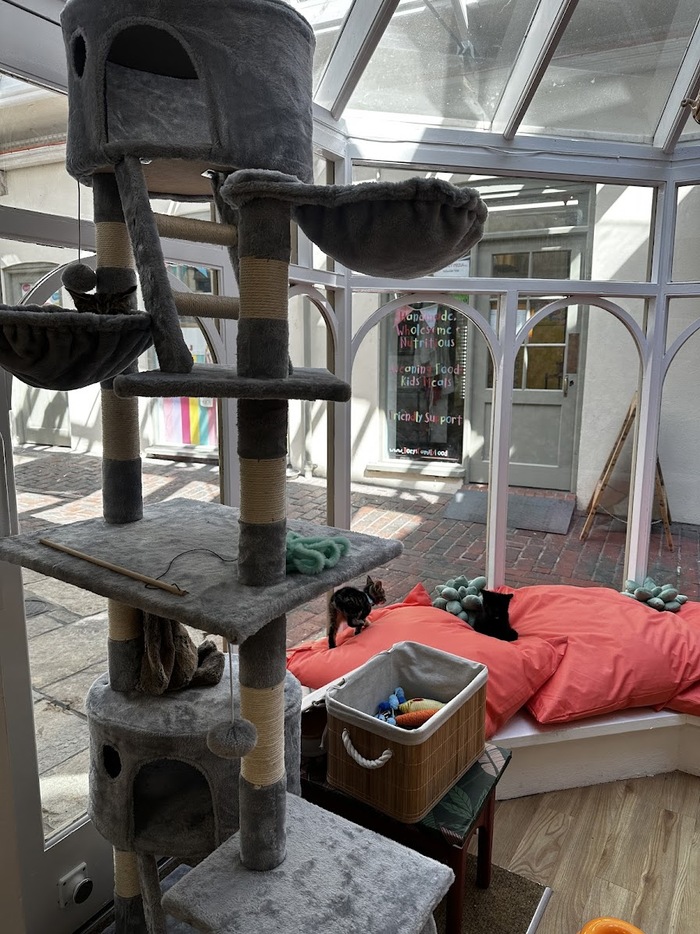  . Dorchester,    Poole.