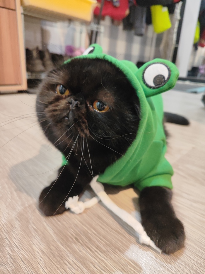    :    , , ,  , ,  ,   , 