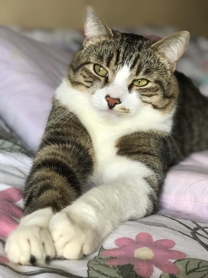    :    , , ,  , ,  ,   , 
