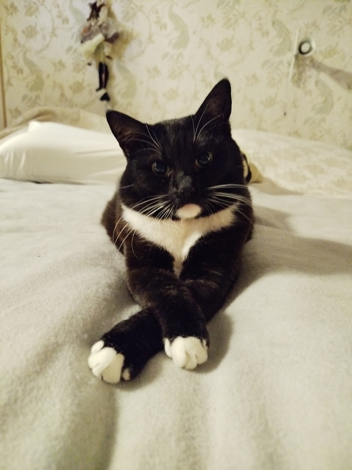 ������� ������ ��� ������