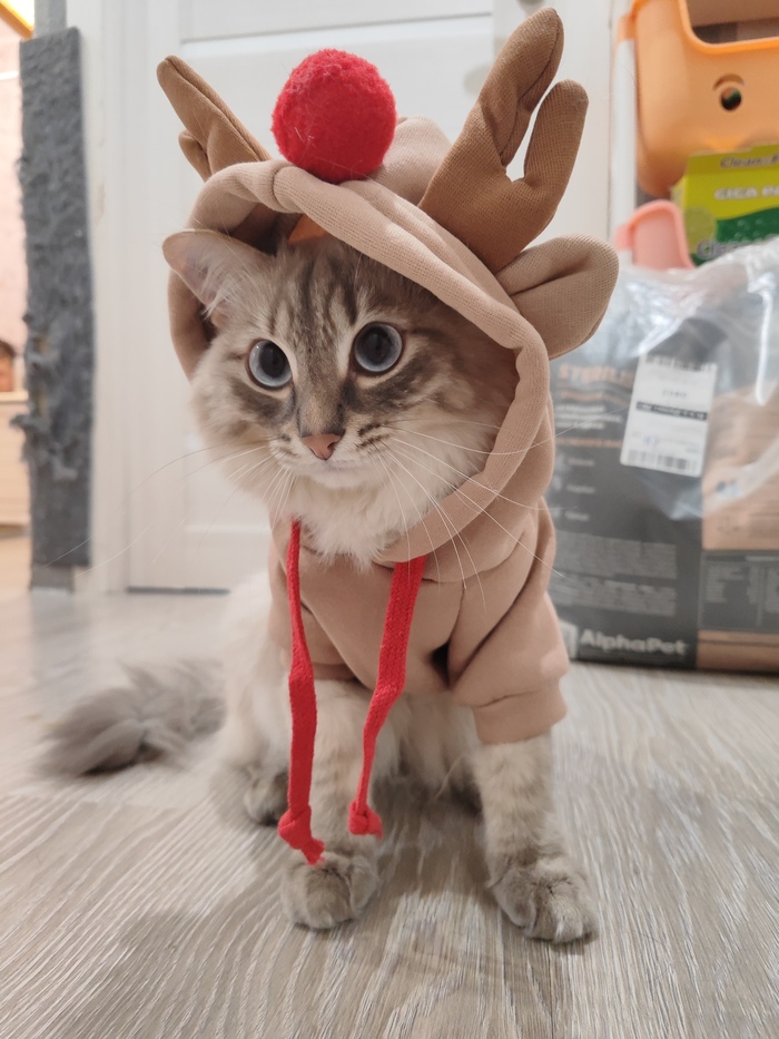    :    , , ,  , ,  ,   , 