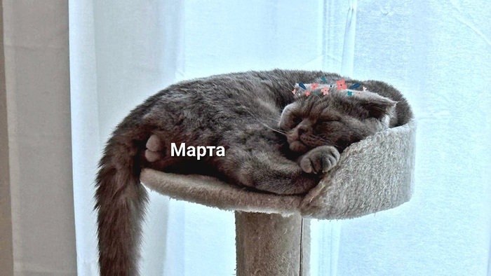 � �����������!