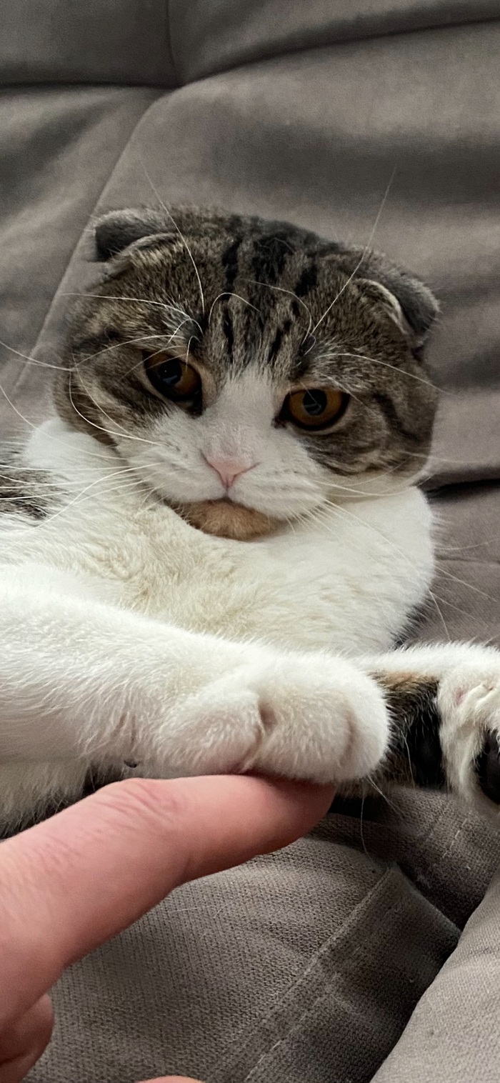 ������� �����