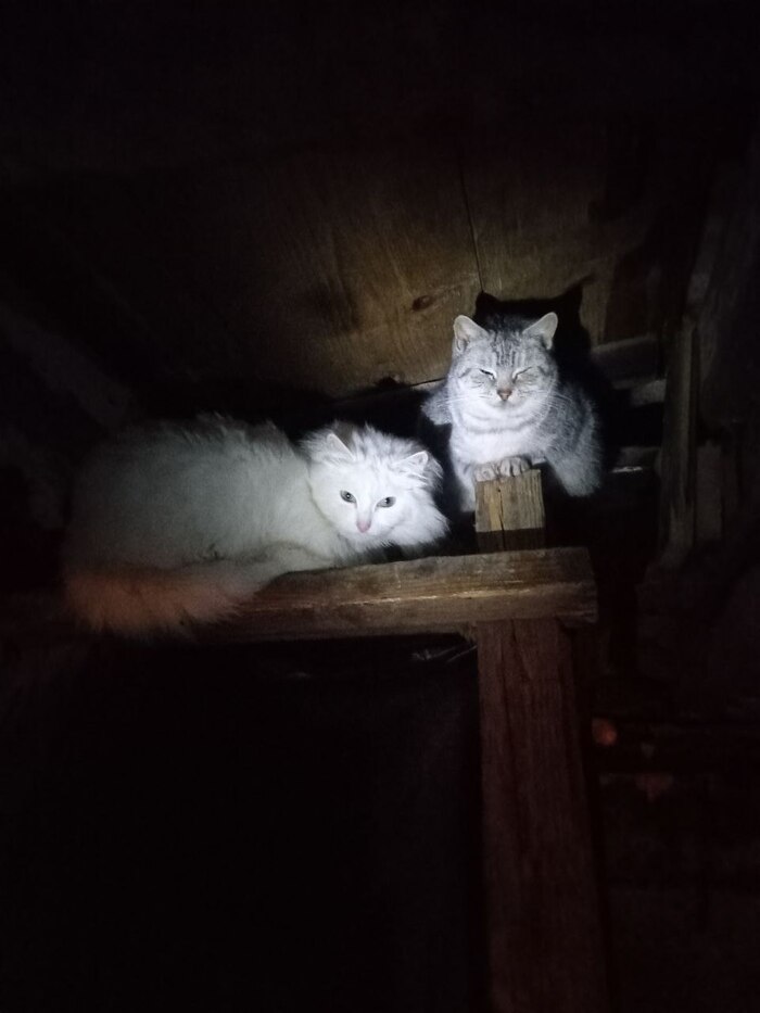   , , , ,  ,  , 