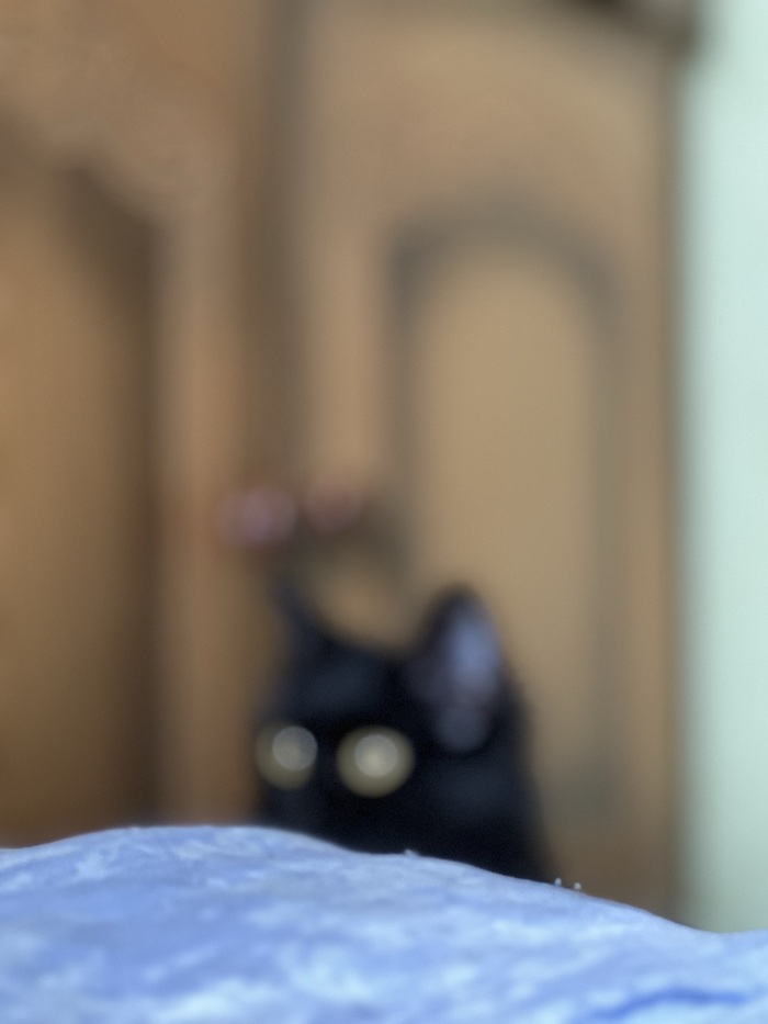 ����� �� ���� ��������: ������ ��� ������