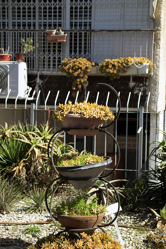 �� ������ ������� ������. ������������ �����.