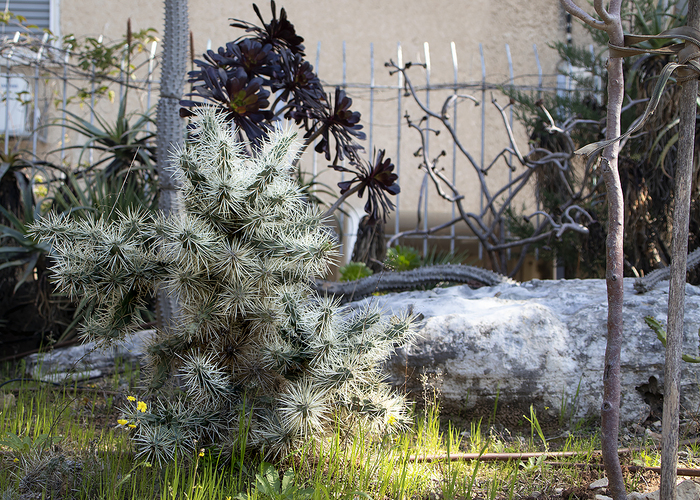 ������� ������������ ������