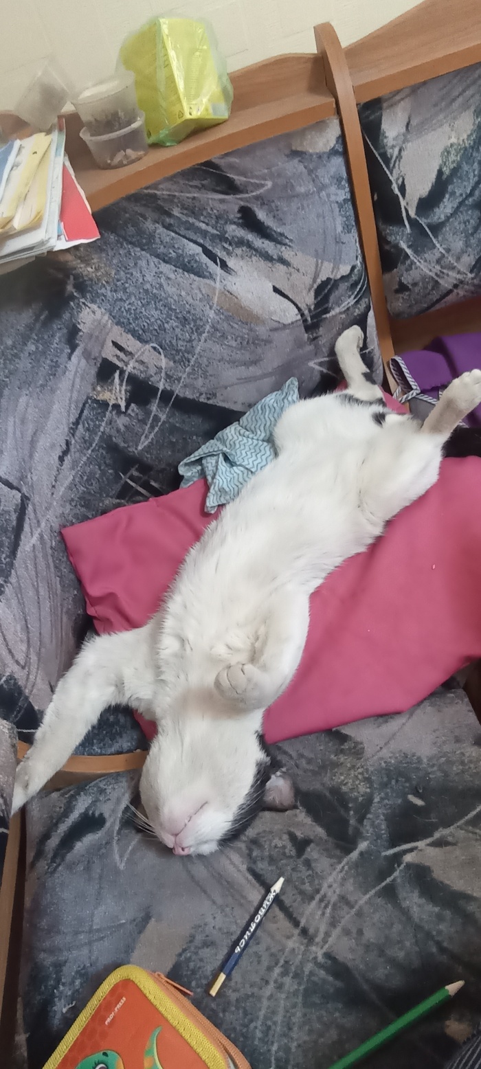 FiDos он же Федя