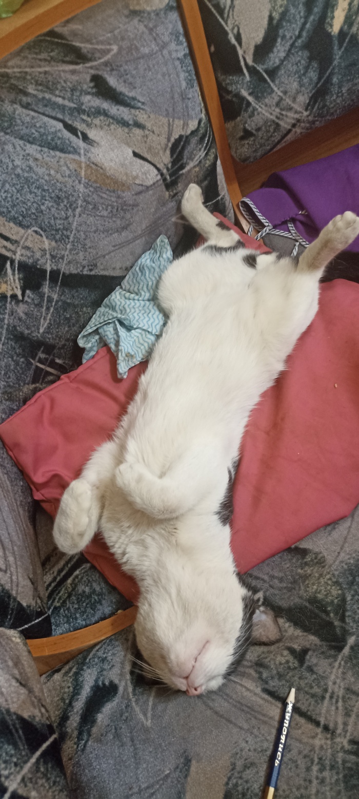 И сниться нам не рокот космодрома не эта ледяная синева. А сниться нам трава трава у дома зеленая зеленая трава