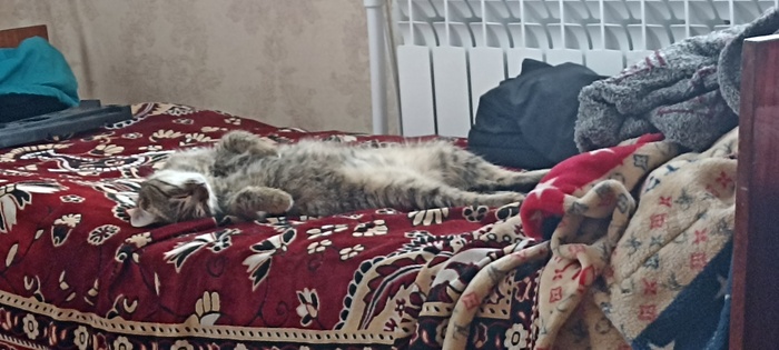 Лёвадия уражденная Лёва