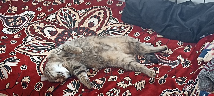 после фкусного обеда