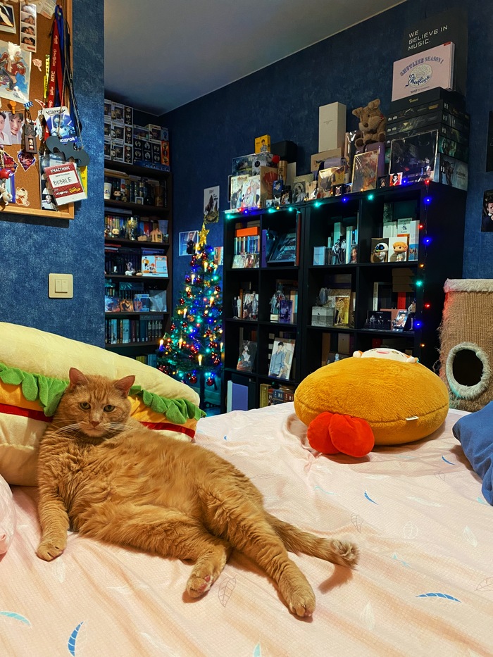    :    , , ,  , ,  ,   , 