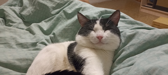 да я люблю поспать )