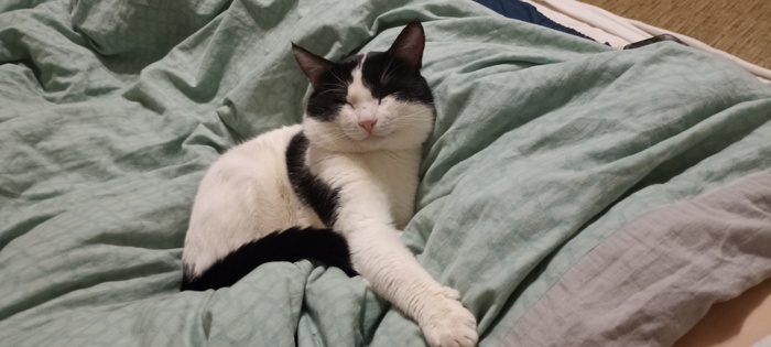 чешите меня семеро