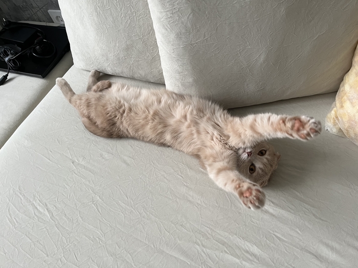  , , ,  ,  , 