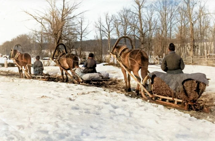 Подборка интересных и необычных фотографий Российской Империи. 20 раскрашенных фотографий. Часть XI Историческое фото, 20 век, 19 век, Старое фото, Российская империя, Фотография, История России, Колоризация, Длиннопост