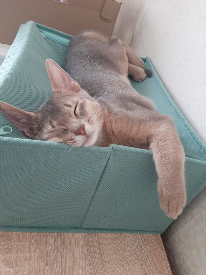    , ,  