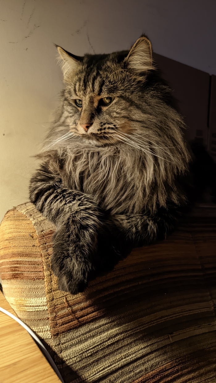 Томный красавчик