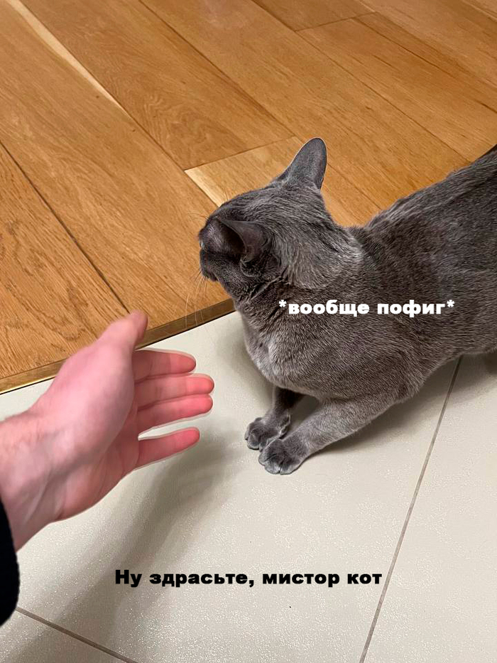  -    , ,  , ,  , , , , ,  , 