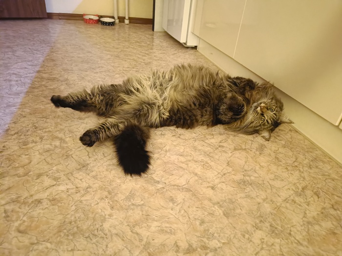 Так мы проводим основную часть своего дня