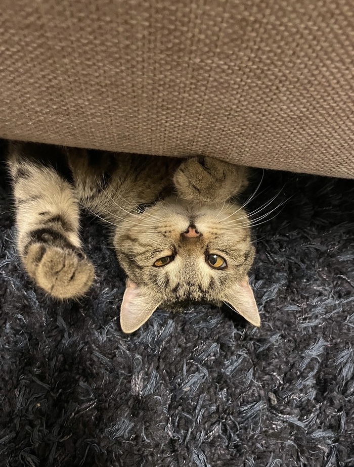    :    , , ,  , ,  , ,  ,  ,   , 