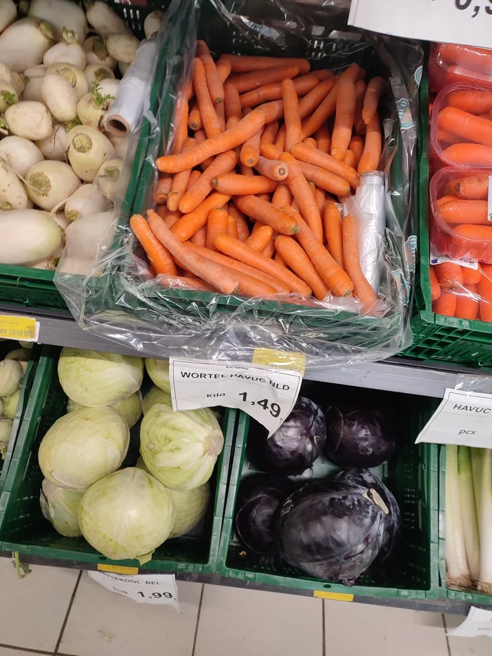 Цена жизни Бельгия Бельгия, Европа, Цены, Прогулка, Работа, Видео, Короткие видео, Длиннопост